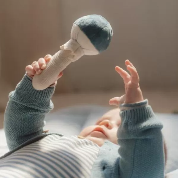 Little Dutch Chrastítko houba Forest Friends